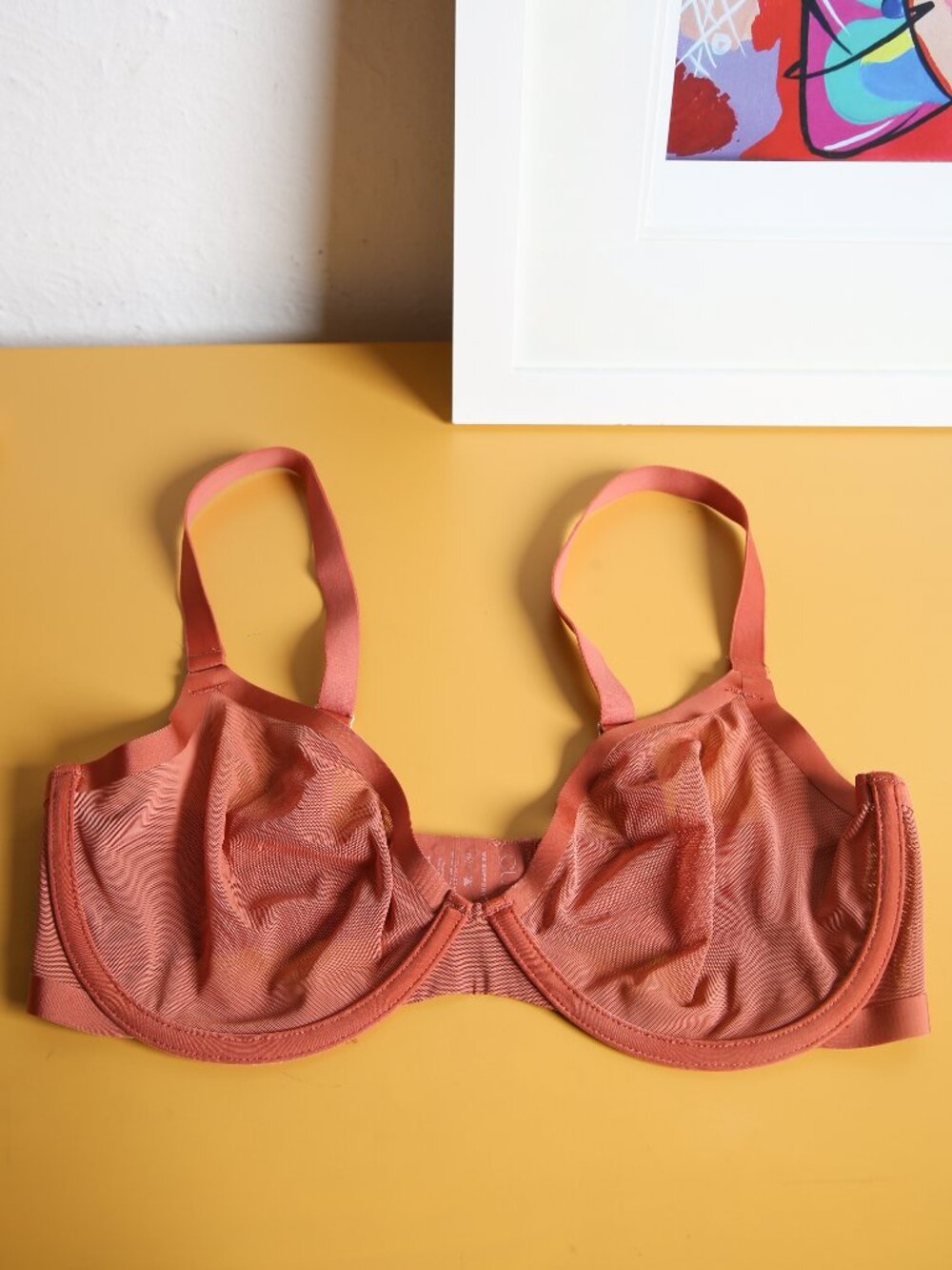 CUUP The Plunge Mesh Bra - Size 34 E